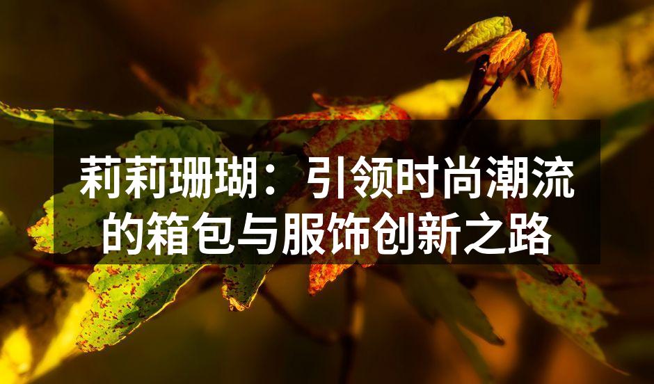 莉莉珊瑚新款箱包系列